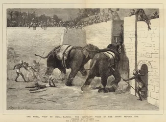 Het koninklijk bezoek aan India, Baroda, het olifantengevecht in de arena voor de Prins van Wales